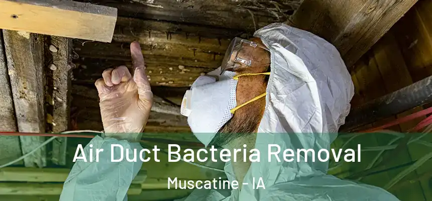  Air Duct Bacteria Removal Muscatine - IA