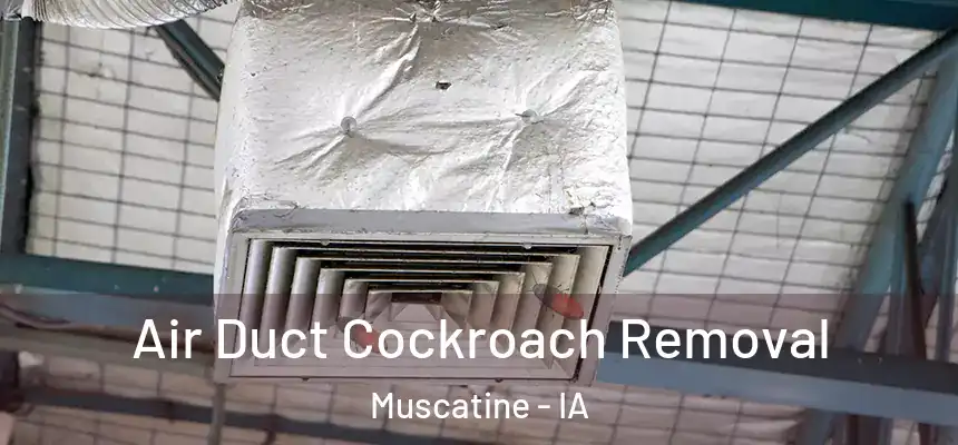  Air Duct Cockroach Removal Muscatine - IA