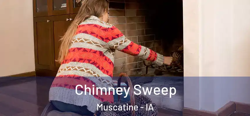  Chimney Sweep Muscatine - IA