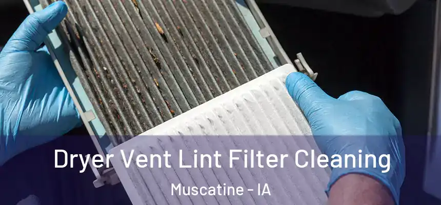  Dryer Vent Lint Filter Cleaning Muscatine - IA