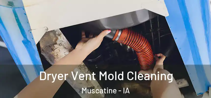  Dryer Vent Mold Cleaning Muscatine - IA