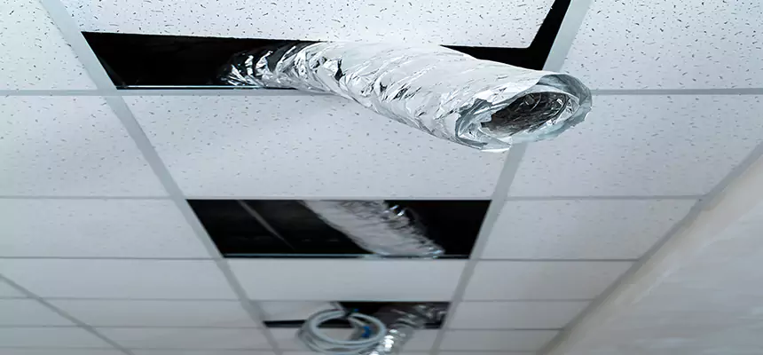 Our Air Duct Pet Hair Removal Services in Muscatine, IA