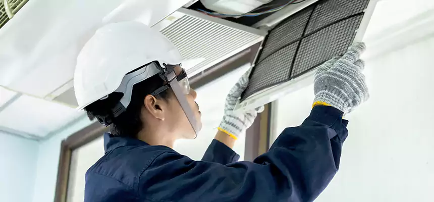 Our Mold & Mildew Removal from Air Ducts Services in Muscatine, IA