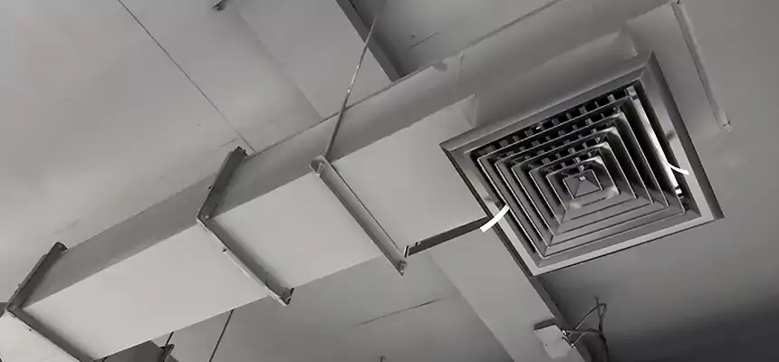 Our Rodent Droppings In Vents Services in Muscatine, IA