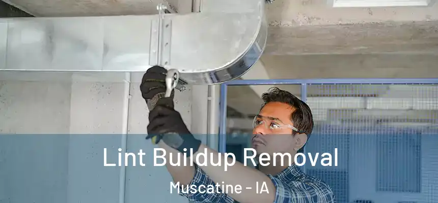 Lint Buildup Removal Muscatine - IA