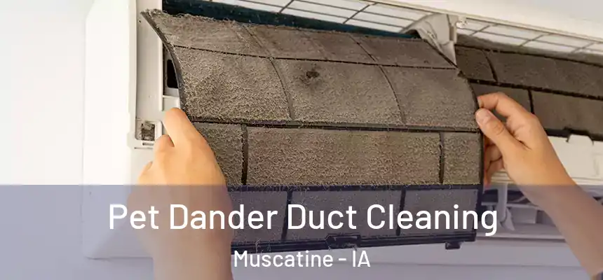  Pet Dander Duct Cleaning Muscatine - IA