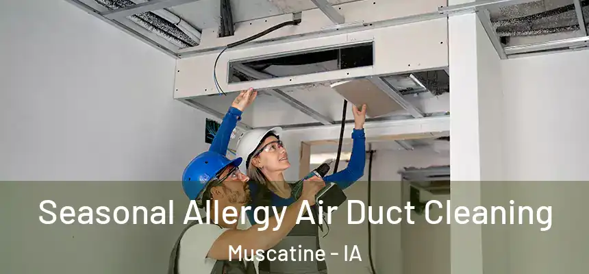 Seasonal Allergy Air Duct Cleaning Muscatine - IA