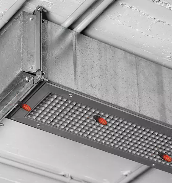 About Air Duct Cockroach Removal in Muscatine, IA