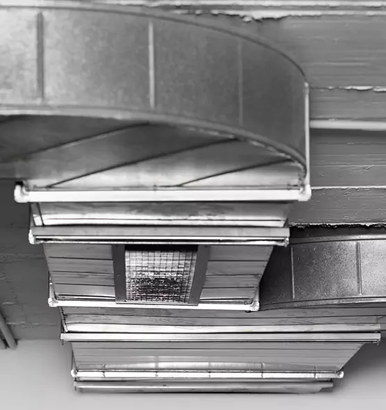 Professional Air Duct Pet Hair Removal in Muscatine, IA