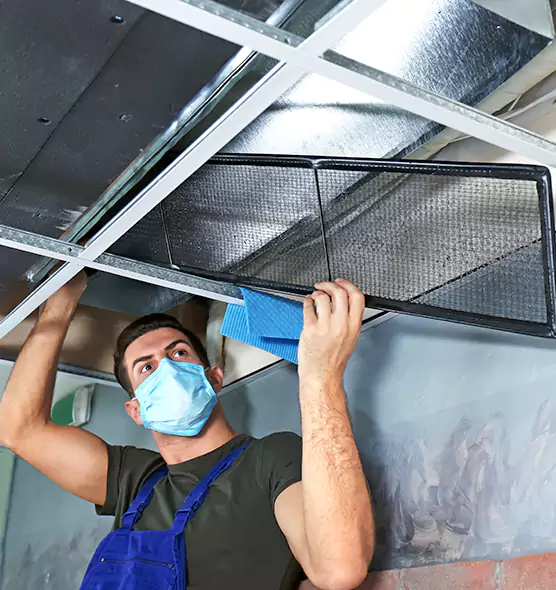 Professional Air Duct Pollen Cleaning in Muscatine, IA