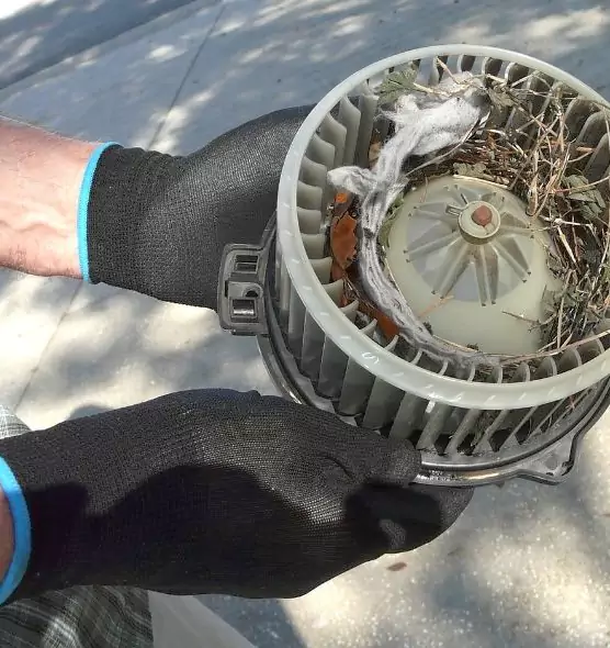 About Air Duct Rat Removal in Muscatine, IA