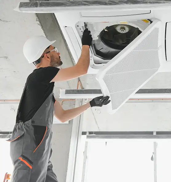 About Air Duct Rodent Removal in Muscatine, IA