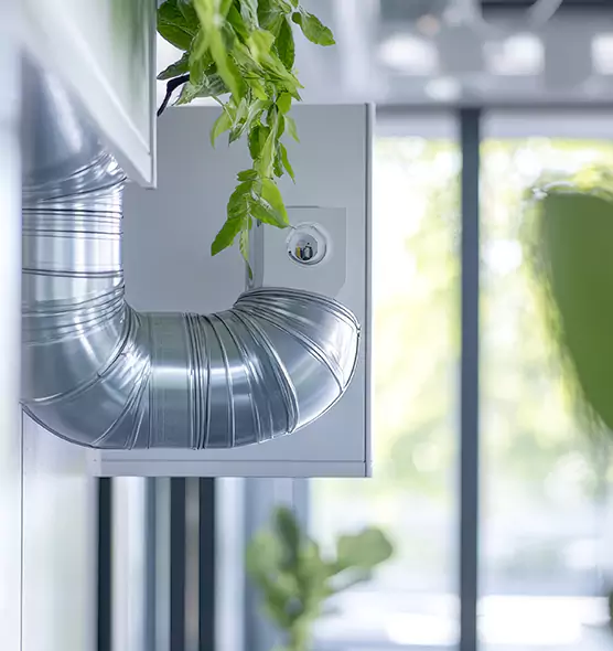 Professional Eco-Safe Dryer Vent Cleaning in Muscatine, IA