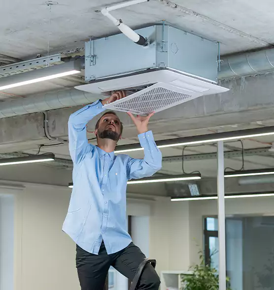 Advanced Rodent Droppings In Vents in Muscatine, IA
