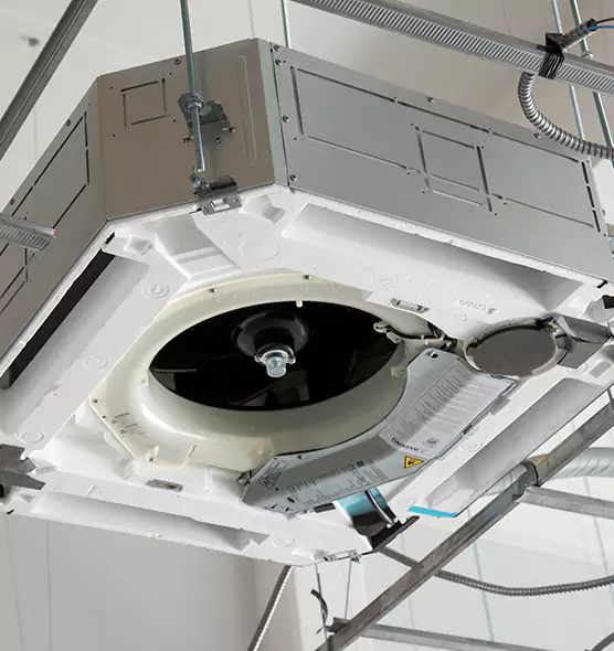 Professional Roof Vent Lint Removal Muscatine, IA