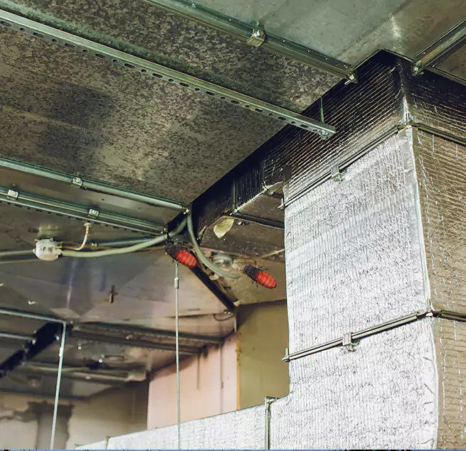 Why Homeowners & Businesses Trust Us in Muscatine, IA?