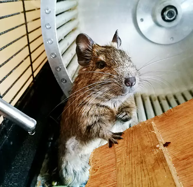 Why Homeowners & Businesses Trust Us Muscatine, IA