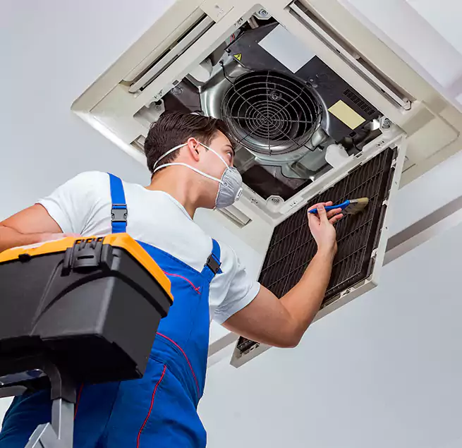 Why Homeowners & Businesses Trust Us in Muscatine, IA