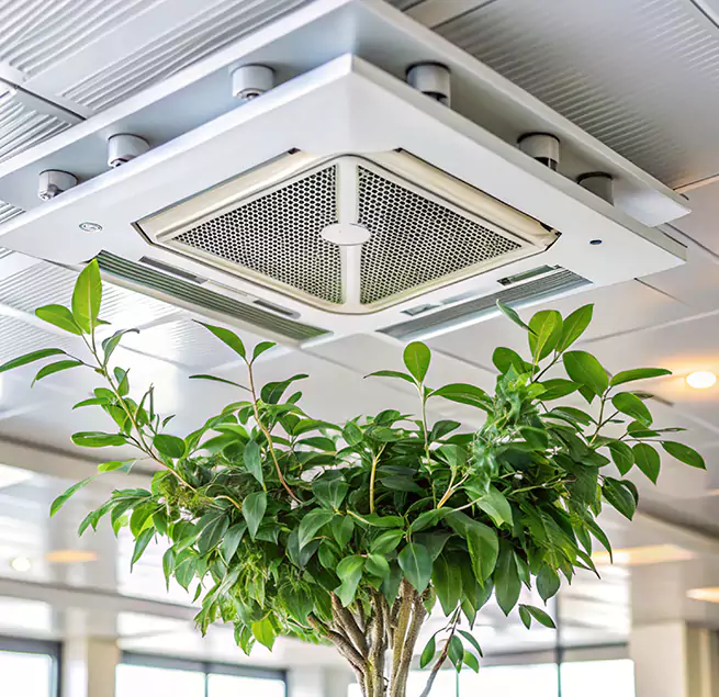 Why Homeowners & Businesses Trust Us in Muscatine, IA