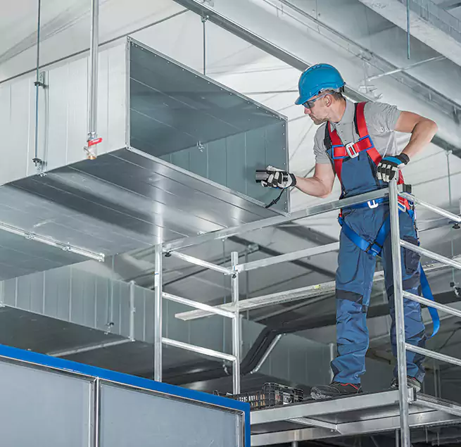 Why Homeowners Businesses Trust Us in Muscatine, IA