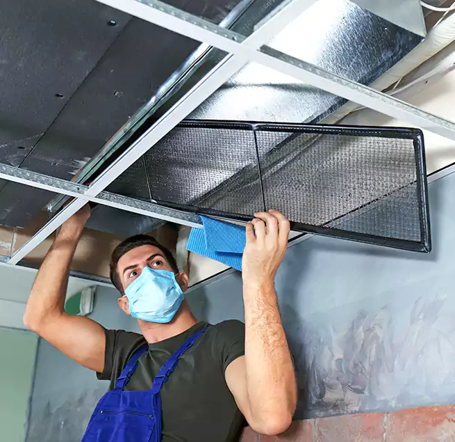 Why Homeowners Businesses Trust Us in Muscatine, IA